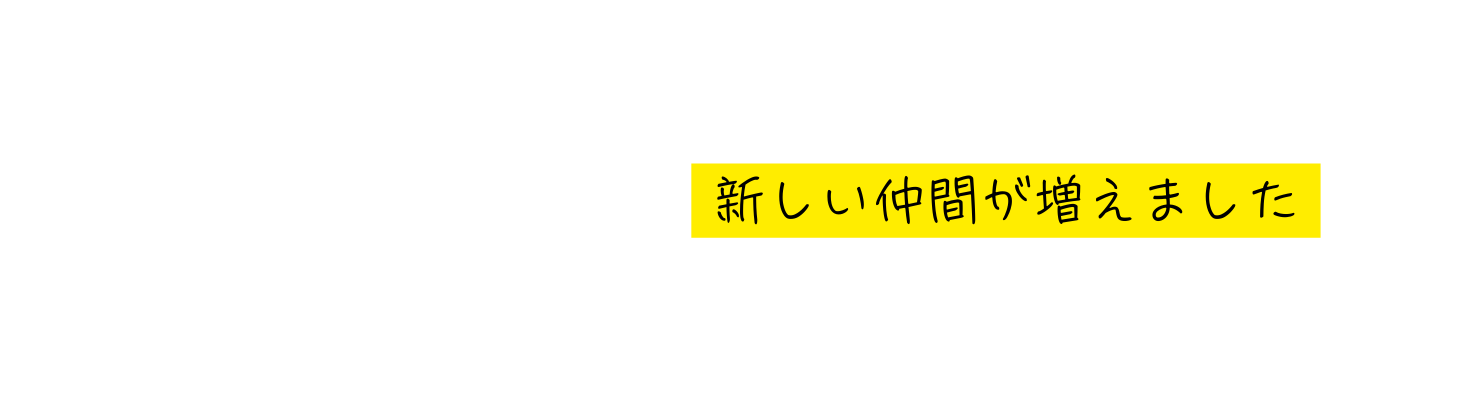 新しい仲間が増えました